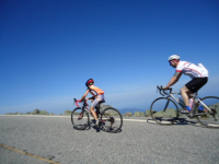 Participant Image
